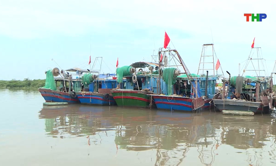 Bản tin tiếng Trung - 海防新闻 (17/10/2026)