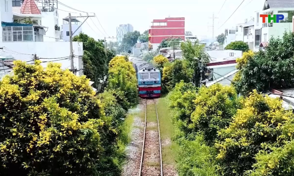 Bản tin tiếng Trung - 海防新闻 (19/10/2026)
