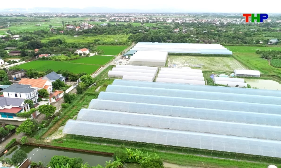 N&ocirc;ng th&ocirc;n mới Hải Ph&ograve;ng: C&ocirc;ng nghệ mở đường cho n&ocirc;ng nghiệp xanh
