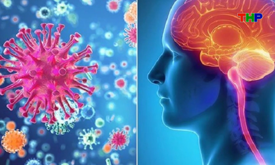 Chủ động ph&ograve;ng bệnh vi&ecirc;m n&atilde;o m&ocirc; cầu