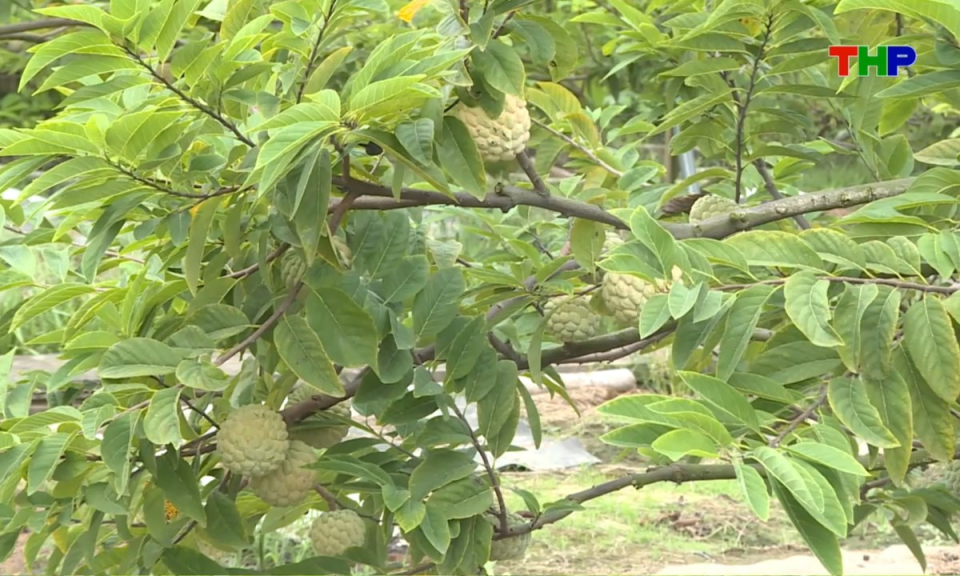 Bản tin thời sự s&aacute;ng (23/10/2026)