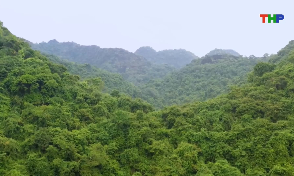 Cát Bà mùa thu hấp dẫn du khách 