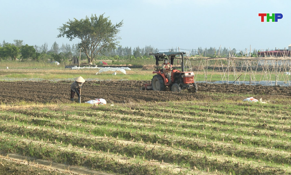 Bản tin thời sự 17h00 (23/10/2026)