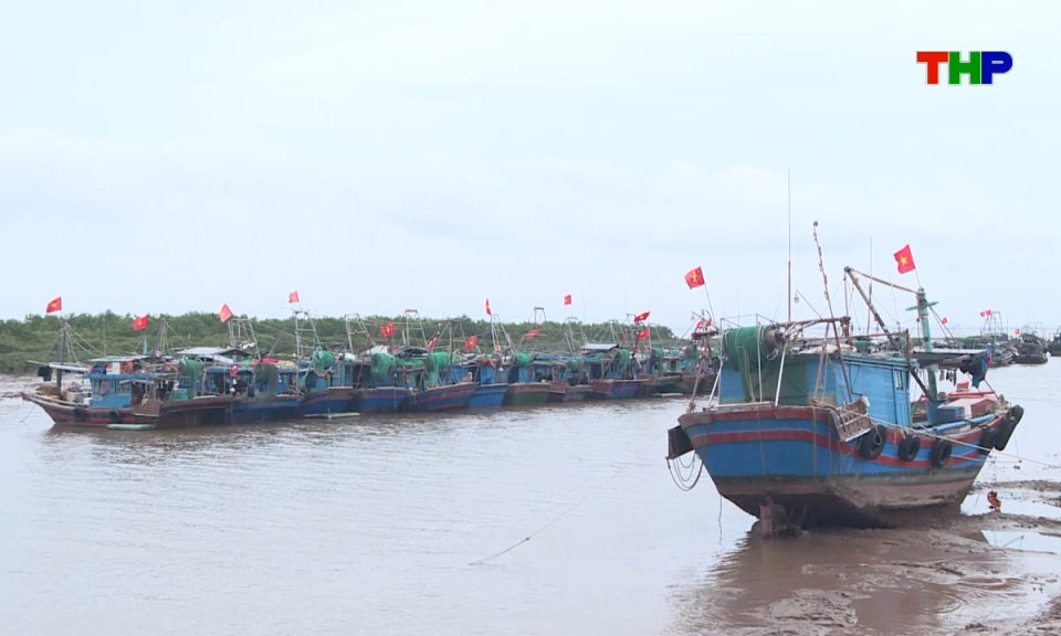 Ch&iacute;nh s&aacute;ch ph&aacute;p luật: Quy định mới về chống khai th&aacute;c IUU
