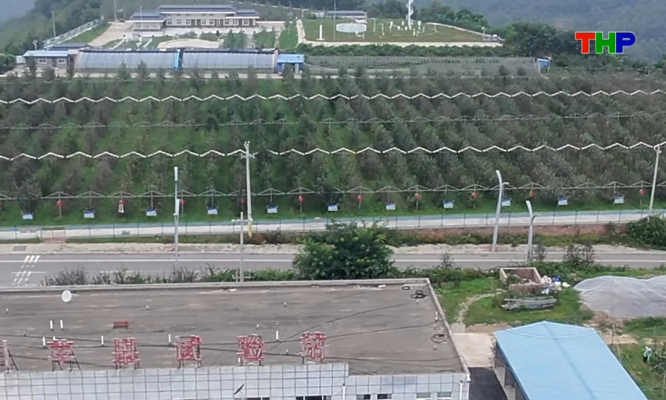 Ph&oacute;ng sự: Vị ngọt từ cao nguy&ecirc;n Ho&agrave;ng Thổ