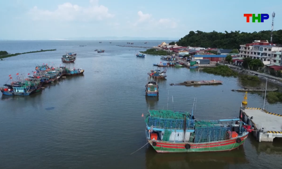 Bản tin tiếng Anh - Hai Phong News (24/10/2026)