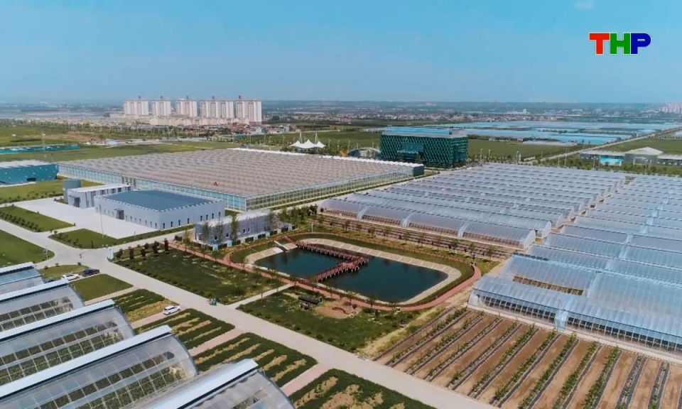 Ph&oacute;ng sự: Đ&aacute;nh thức tiềm năng từ những c&aacute;nh đồng số