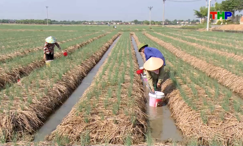Nhịp sống 24h (25/10/2026)