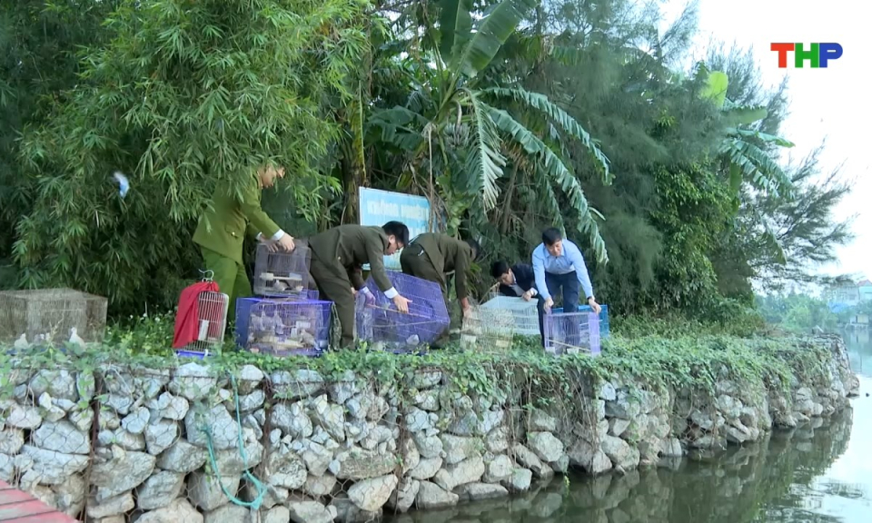 Bản tin tiếng Anh - Hai Phong News (27/10/2026)