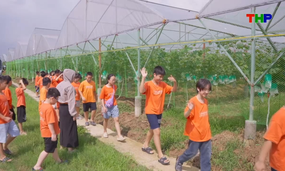 Điểm hẹn du lịch: Du lịch học đường