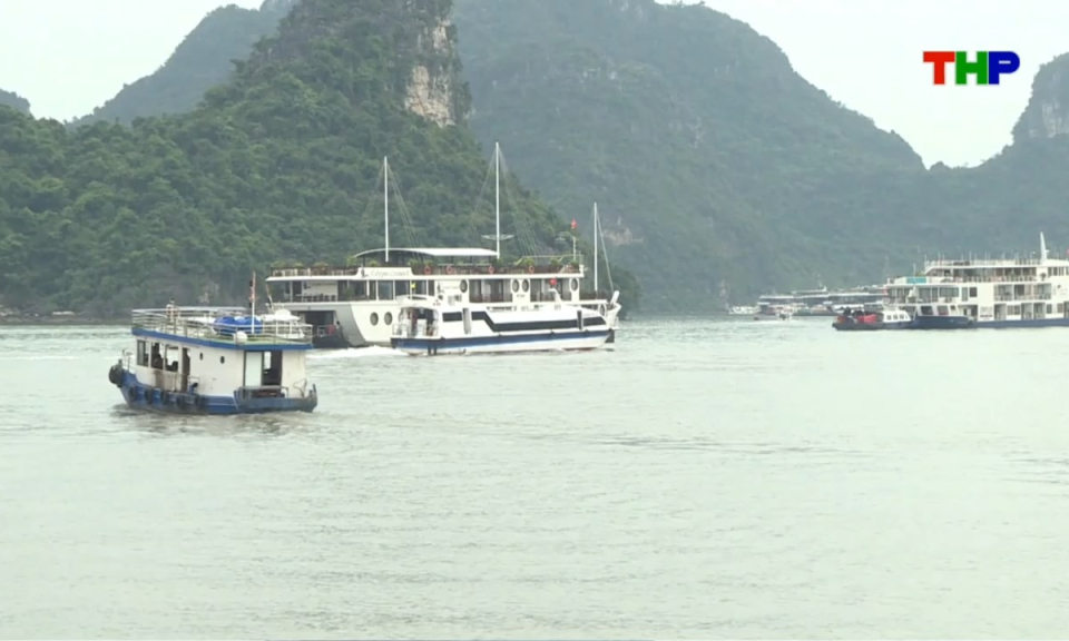 Nhịp sống 24h (28/10/2026)